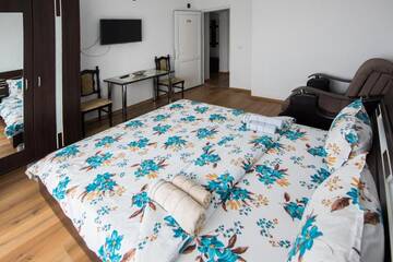 Фото номера Люкс с 2 спальнями Гостевой дом Daiana Residence г. Турда 11