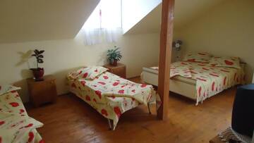 Фото номера Трехместный номер с общей ванной комнатой Хостелы Helga House г. Турда 6
