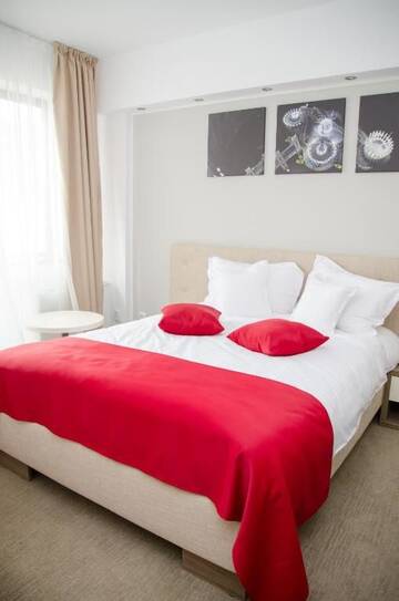 Фото номера Стандартный двухместный номер с 1 кроватью Отель Potaissa Hotel г. Турда 8