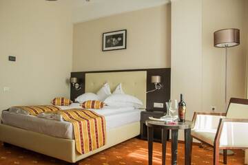Фото номера Стандартный двухместный номер с 1 кроватью Отель Salis Hotel &amp; Medical Spa г. Турда 8