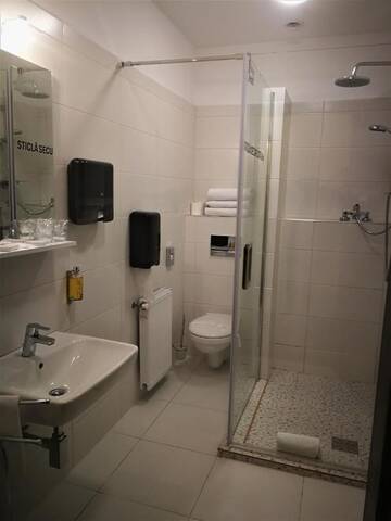 Фото номера Suite Business Junior Отель Salis Hotel &amp; Medical Spa г. Турда 4