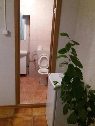 Фото номера Двухместный номер с 1 кроватью Гостевой дом Casa Rodisa г. Турда 7