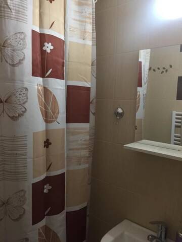 Фото номера Двухместный номер с 1 кроватью и собственной ванной комнатой Гостевой дом Casa Alin г. Турда 13