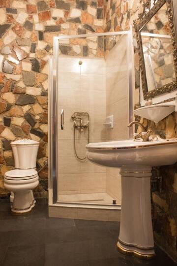 Фото номера Полулюкс Отель Hunter Prince Castle &amp; Dracula Hotel г. Турда 8